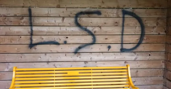 Paper Castle Reps hit out over 'absolutely dreadful' Antrim Castle Gardens graffiti ...