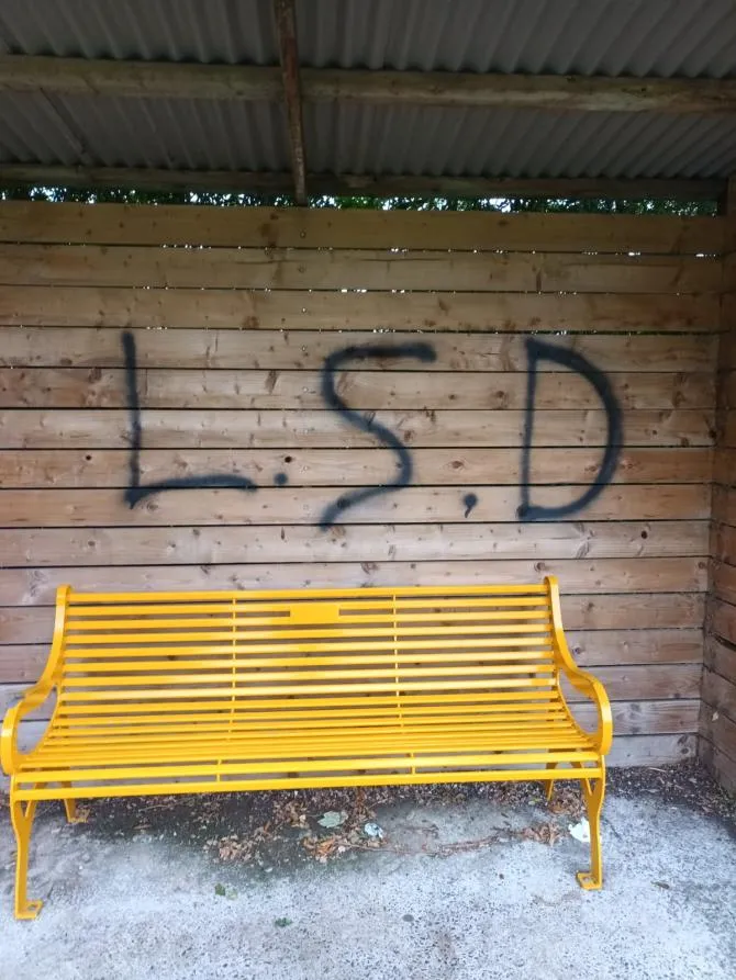 Paper Castle Reps hit out over 'absolutely dreadful' Antrim Castle Gardens graffiti ...